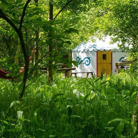 Plush Tents Yurt Village 치체스터 외부 사진