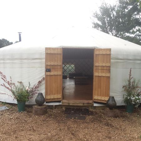 Plush Tents Yurt Village 치체스터 외부 사진