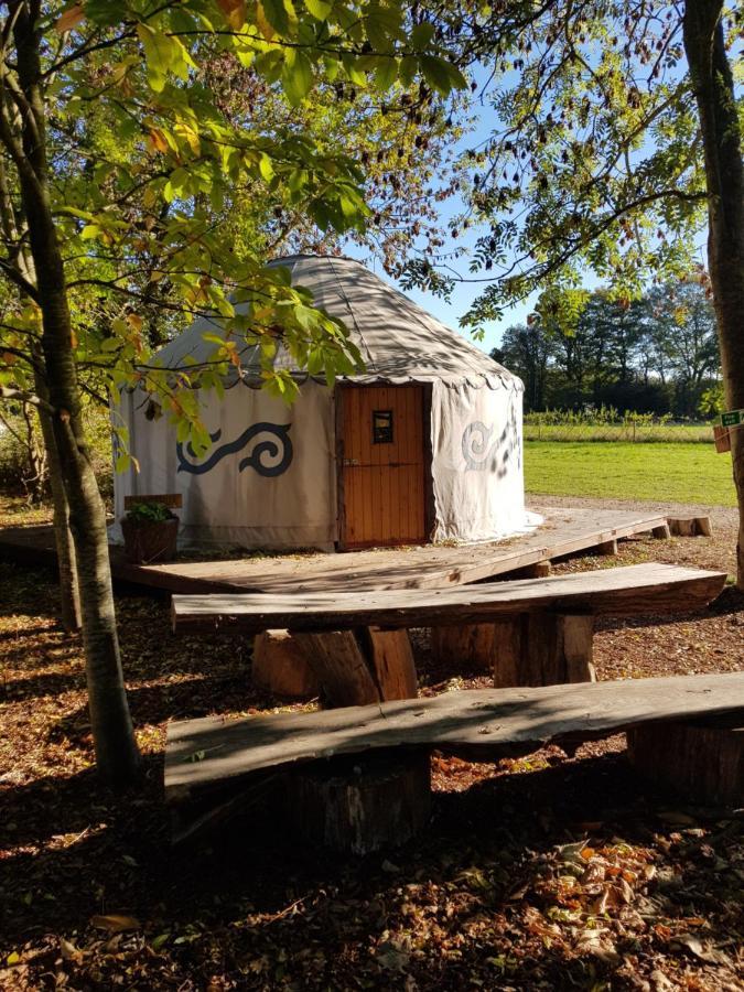 Plush Tents Yurt Village 치체스터 외부 사진