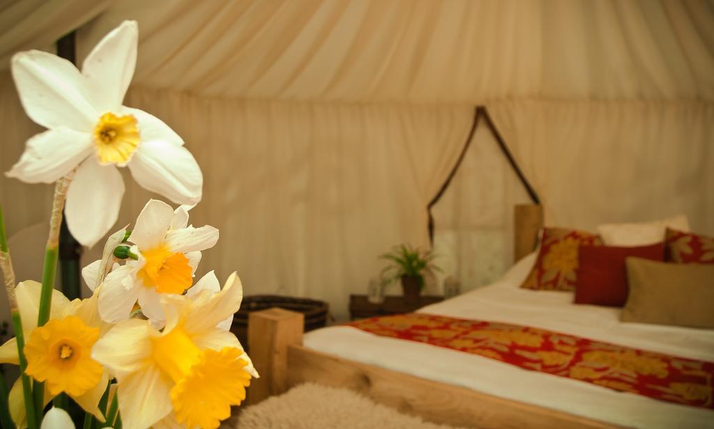 Plush Tents Yurt Village 치체스터 객실 사진