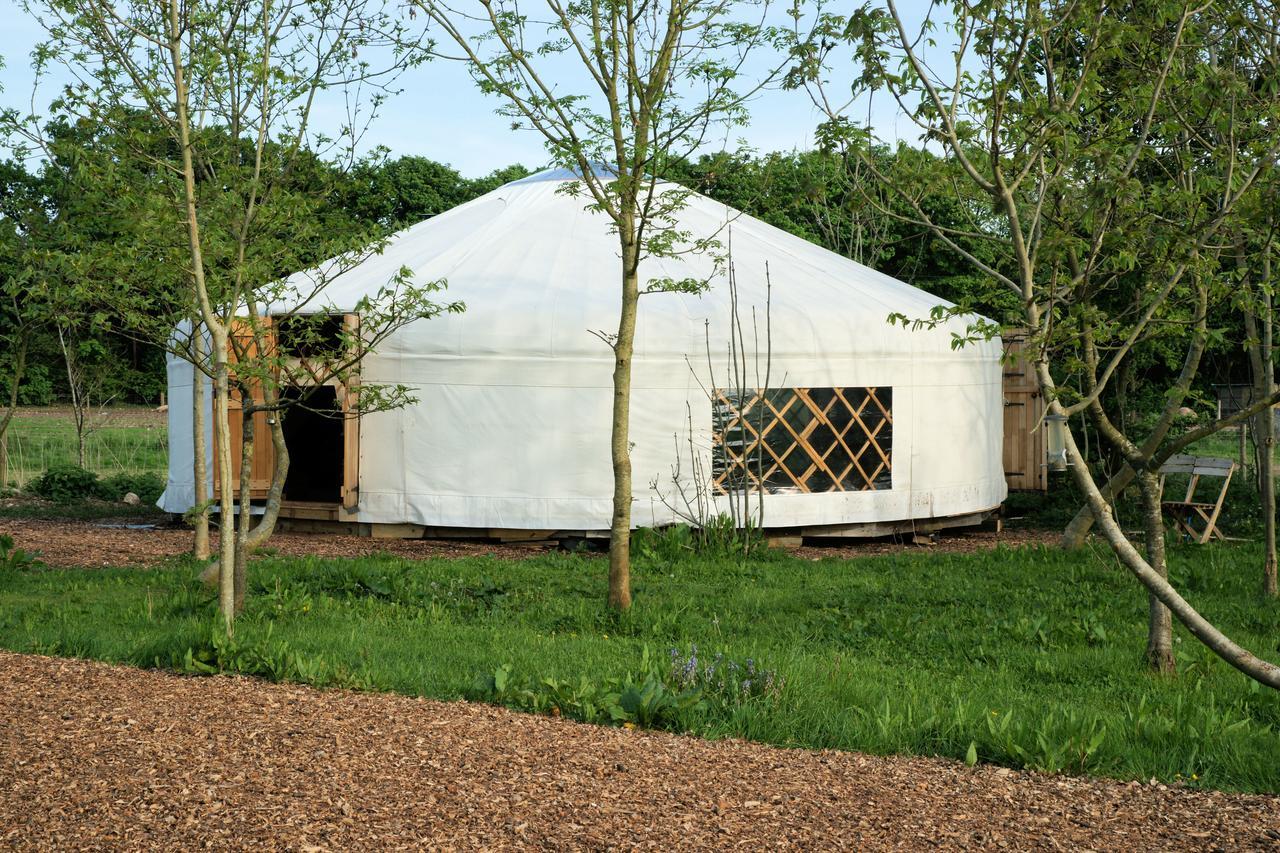 Plush Tents Yurt Village 치체스터 외부 사진