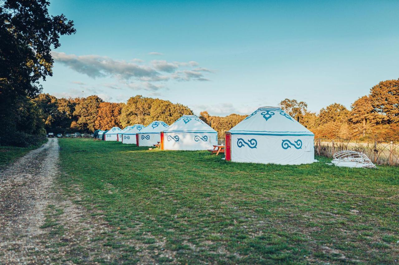 Plush Tents Yurt Village 치체스터 외부 사진
